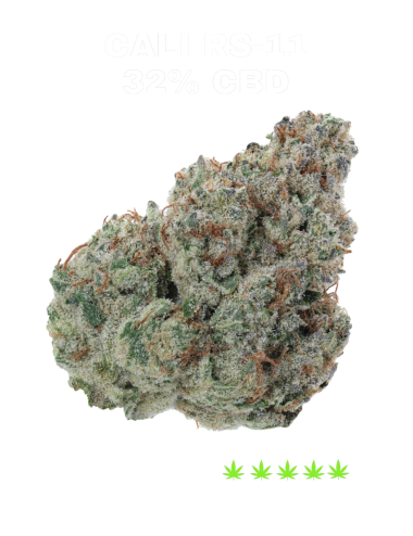 CALI RS-11 32%CBD 🇺🇸