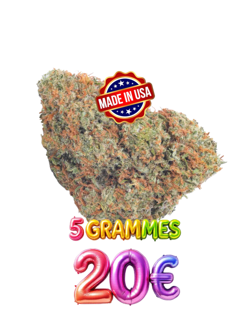 CALI WHITE💦