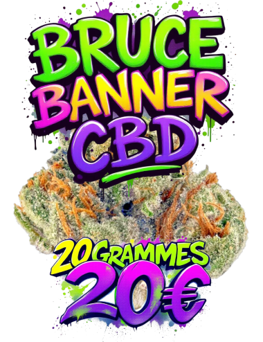 BRUCE BANNER CBD💐