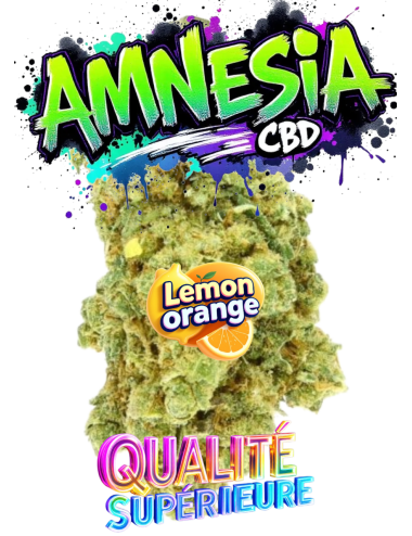 AMNESIA CBD🇨🇭
