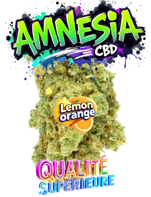 AMNESIA CBD🇨🇭