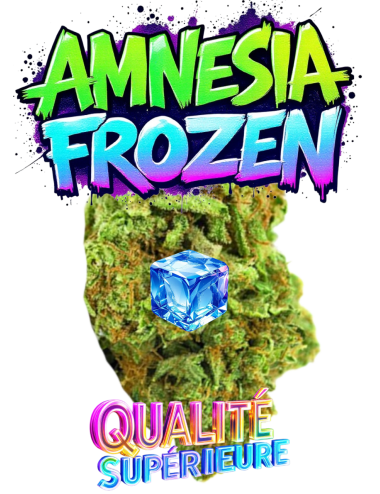 AMNESIA FROZEN