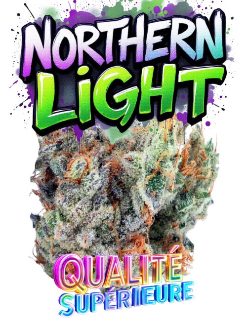 NORTHERN LIGHT CBD🇺🇸