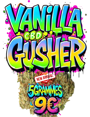 VANILLA GUSHER CBD🧁