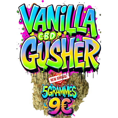 VANILLA GUSHER CBD🧁