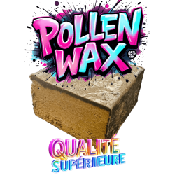 POLLEN WAX 65% CBD