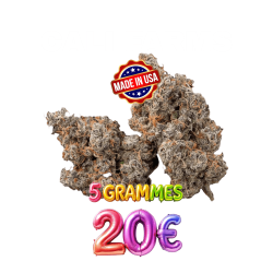 CALI FARMS🍭