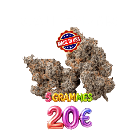 CALI FARMS🍭