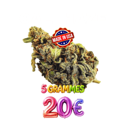 CALI HAZE 🍧