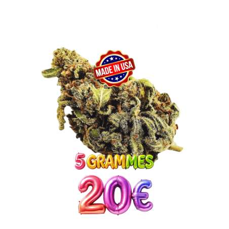 CALI HAZE 🍧
