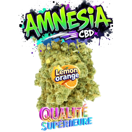 AMNESIA CBD🇨🇭