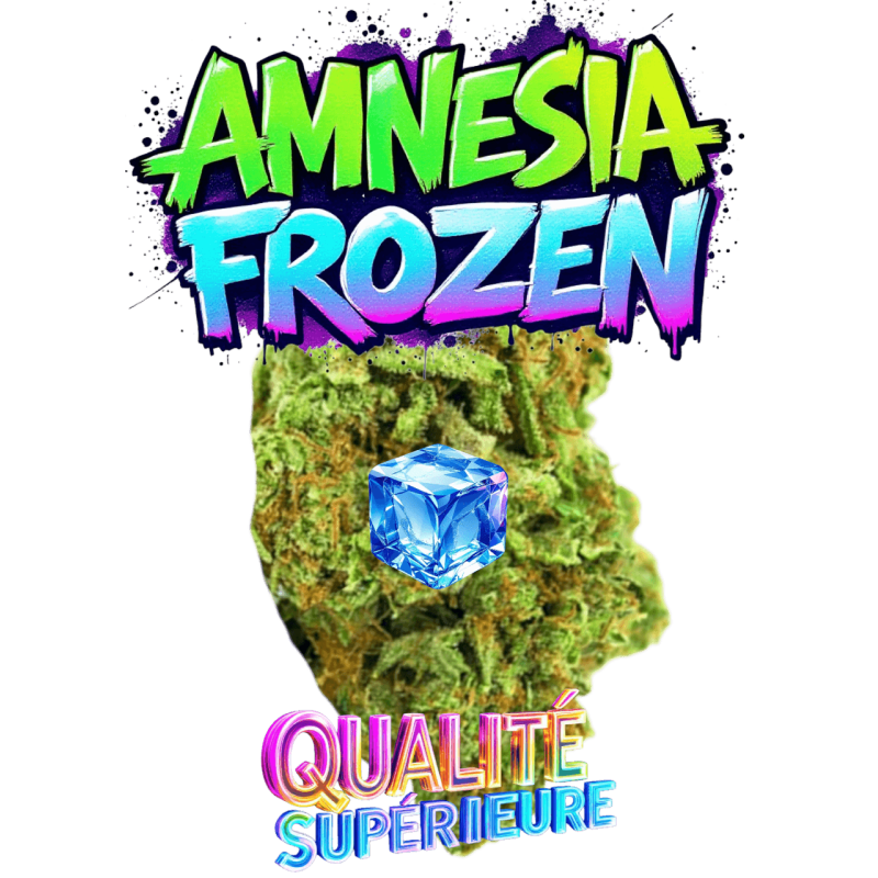 AMNESIA FROZEN